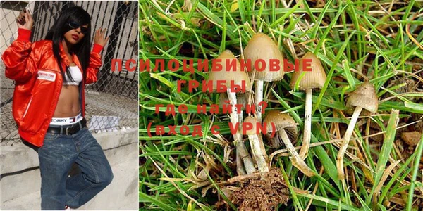 кокаин Вяземский